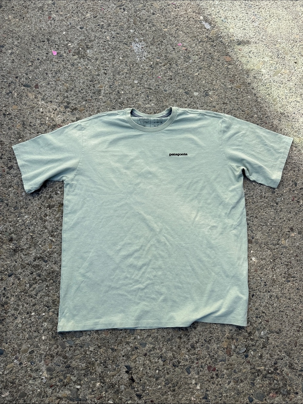 Patagonia Men’s Crewneck T-Shirt in Sage Green